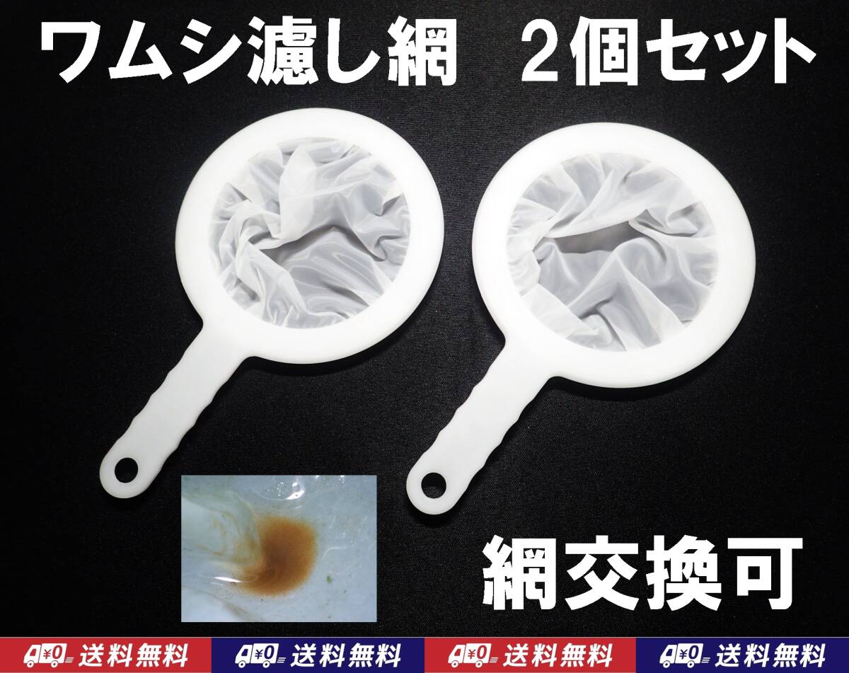 【送料込】ワムシ 分離網 2個セット  濾し網 ネット ブラインシュリンプ・ミジンコも掬えます メダカ飼育用品 水槽用品の画像1