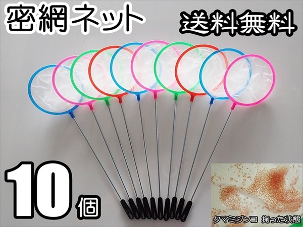 【送料無料】密網  10個  丸型  水槽用品  即決  ミジンコ メダカ針子 シュリンプ等用に ゾウリムシは掬えません ネット 10本の画像1