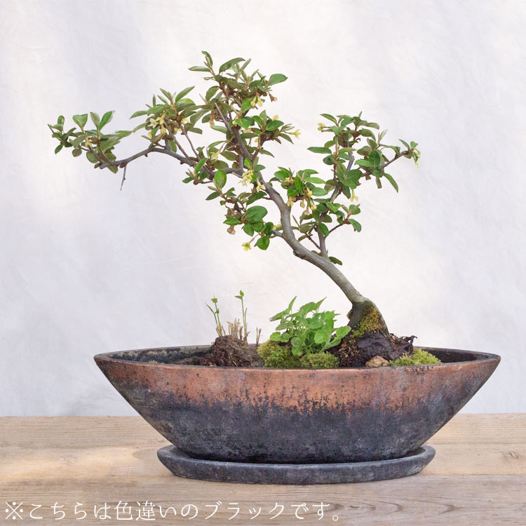 植木鉢 釉薬陶器製 インテリアポット プランター ブルー 青 GA008-375BB / 12号 12寸・W37.5×D10.5×H11cm_画像4