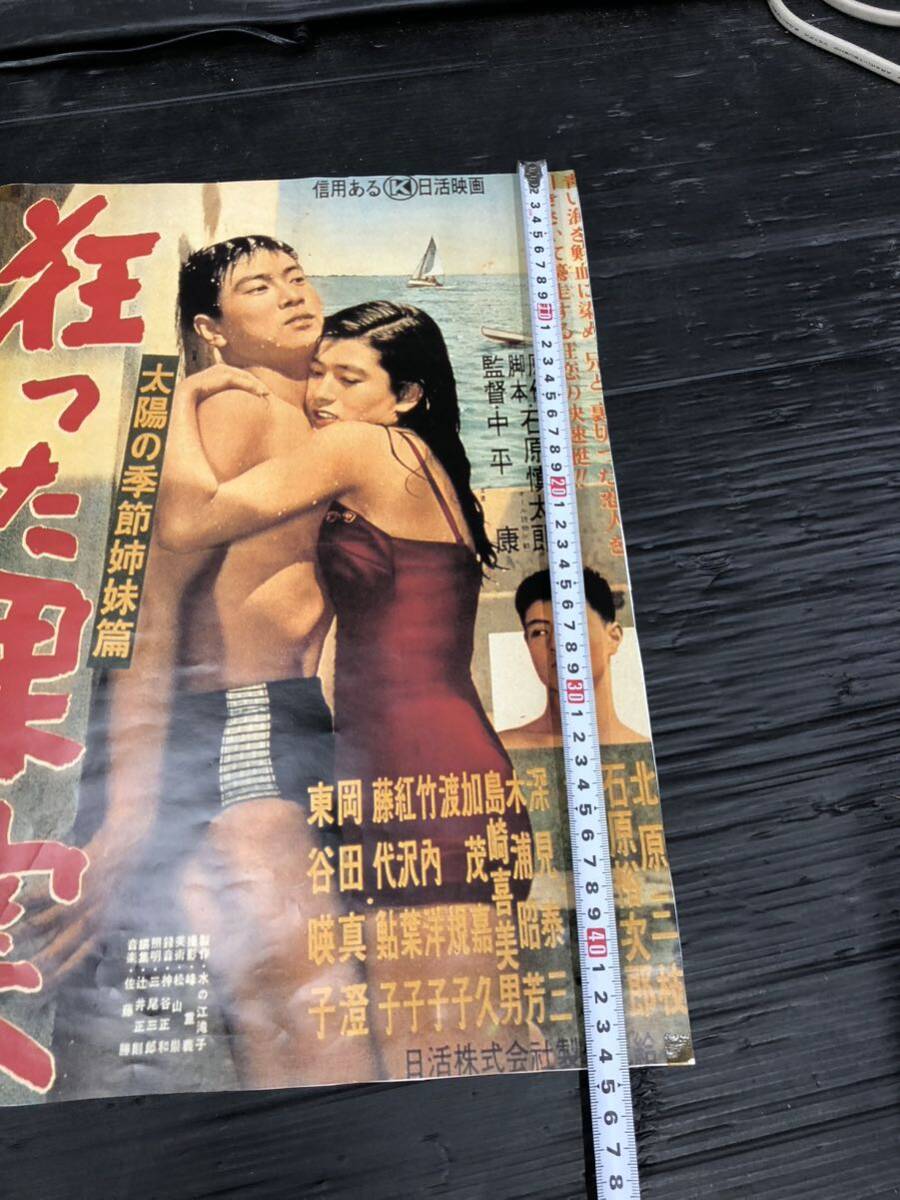 川 映画ポスター 日活 石原裕次郎 狂った果実 当時物の画像5