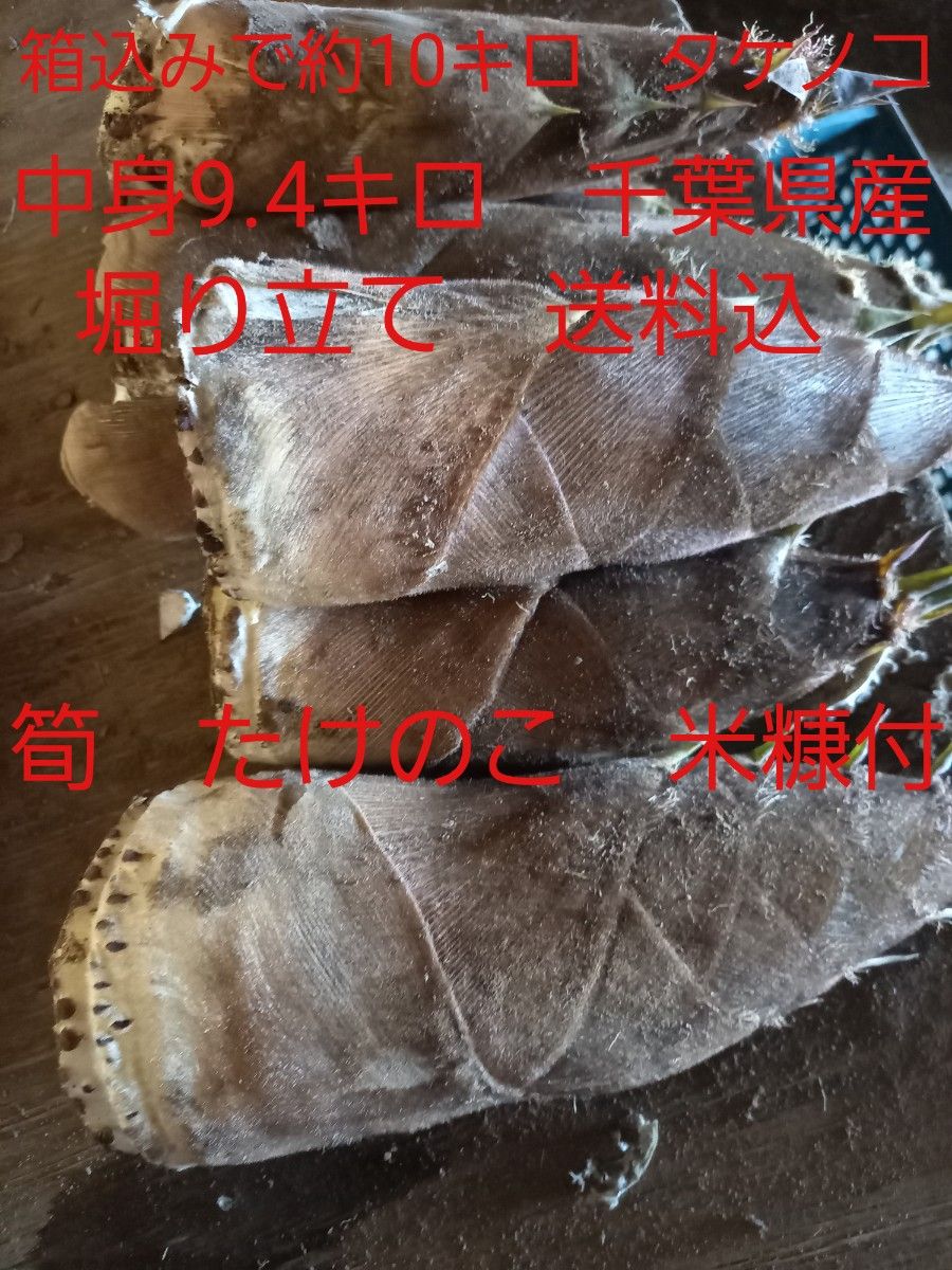 千葉県　たけのこ　タケノコ　筍　中身のみで約9.4kg 米糠付　箱込みで約10kg　堀り立て　やや訳有