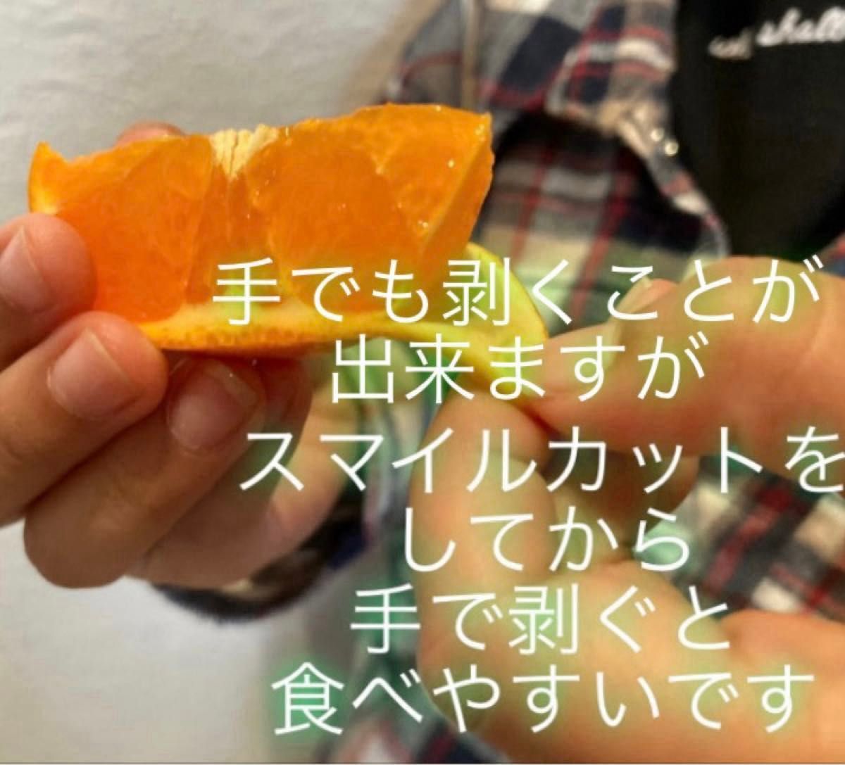 ①数量限定!和歌山県田辺産 せとか オレンジ 柑橘 優品(家庭用訳あり)2kg