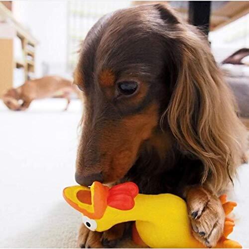 PLATZ PET SUPPLISES&FUN(プラッツ) 犬用おもちゃ 小型犬 スクリーミングチキン イエロー_画像3