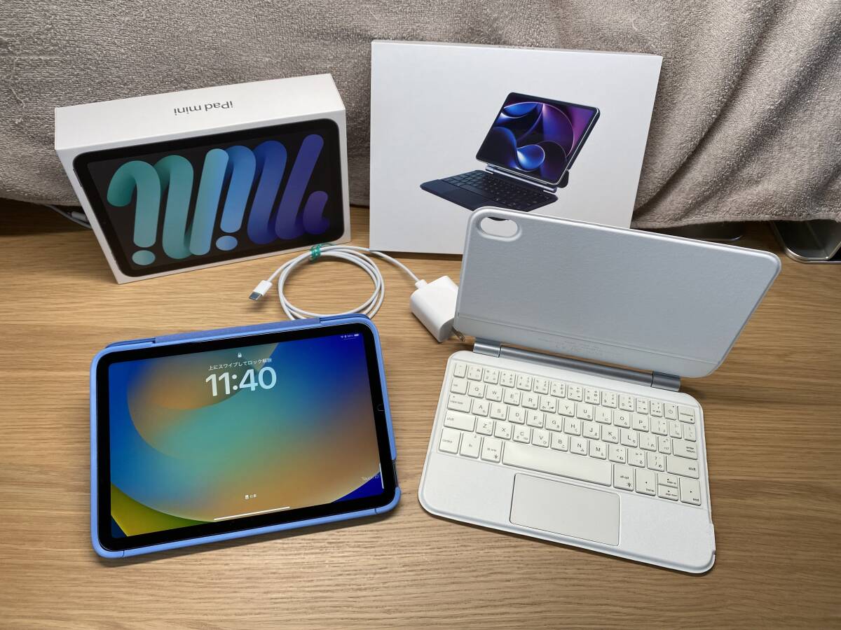 iPad mini WiFi + Cellularモデル 256GB - スペースグレイ 第6世代 MK8F3J/A 2021年秋モデル 2024年2月購入
