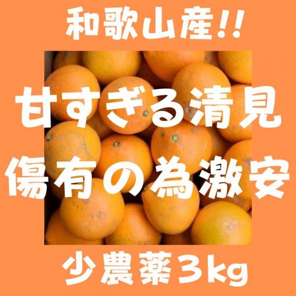 限定 きよみオレンジ 百貨店では買えない 甘すぎる B級 ほとんど無農薬 みかん 3kg 和歌山県産