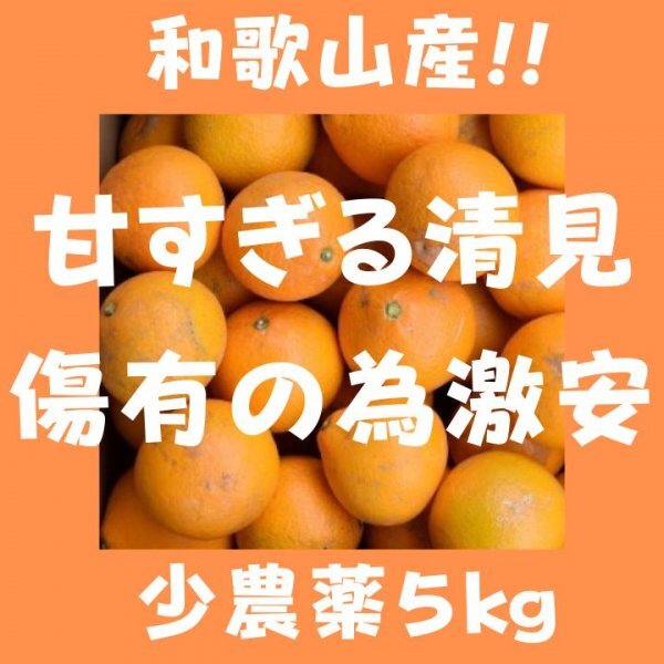 きよみオレンジ 百貨店では買えない 甘すぎる B級 ほとんど無農薬 みかん ５kg 和歌山県産_画像1