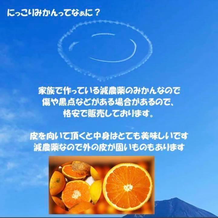 きよみオレンジ 百貨店では買えない 甘すぎる B級 ほとんど無農薬 みかん ５kg 和歌山県産の画像4
