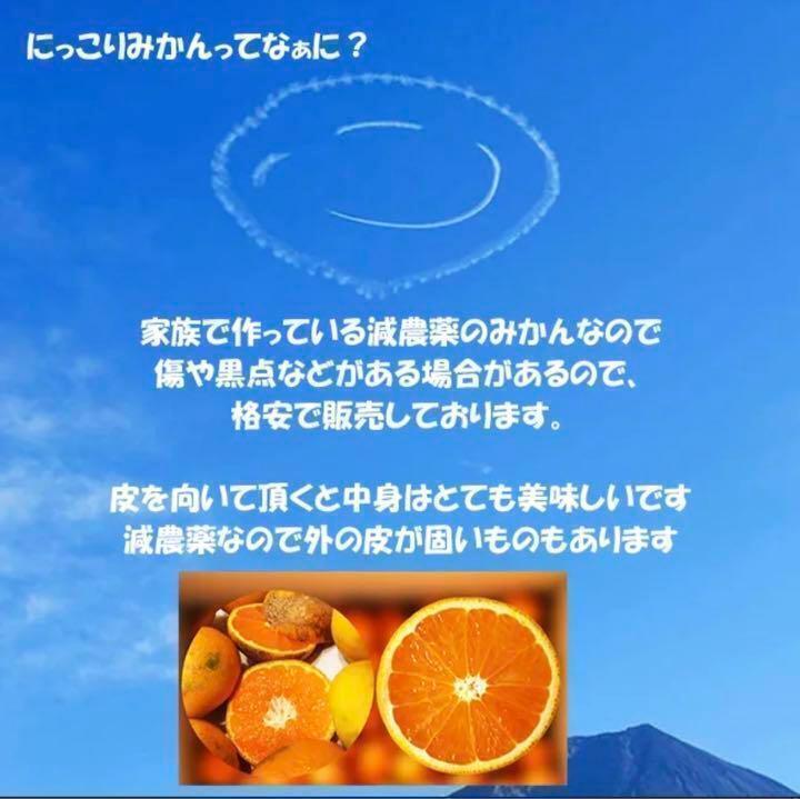 最後の案内 きよみオレンジ 百貨店では買えない 甘すぎる B級 ほとんど無農薬 みかん 10kg 和歌山県産の画像3
