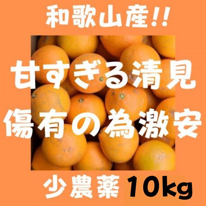 限定 きよみオレンジ 百貨店では買えない 甘すぎる B級 ほとんど無農薬 みかん 10kg 和歌山県産の画像1