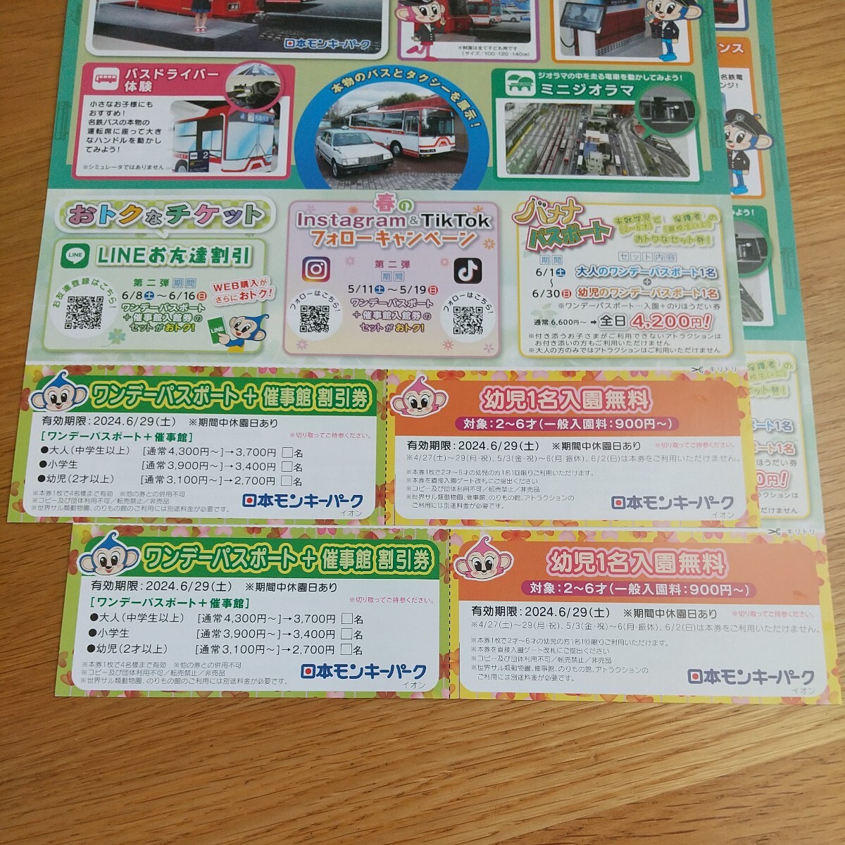 日本モンキーパーク ワンデーパスポート+催事館 割引券×2 最大4800円引き 幼児1名入園無料×2 モンキーパーク 優待券 無料券 送料63円の画像1