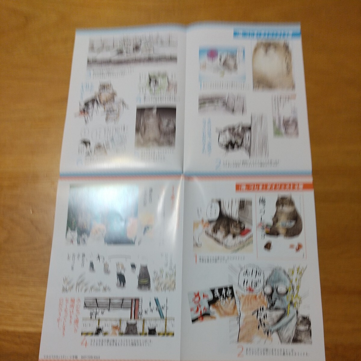 【非売品】俺、つしま 猫漫画 第4巻発売記念 特別限定フリーペーパー ダイジェスト ノベルティー_画像3