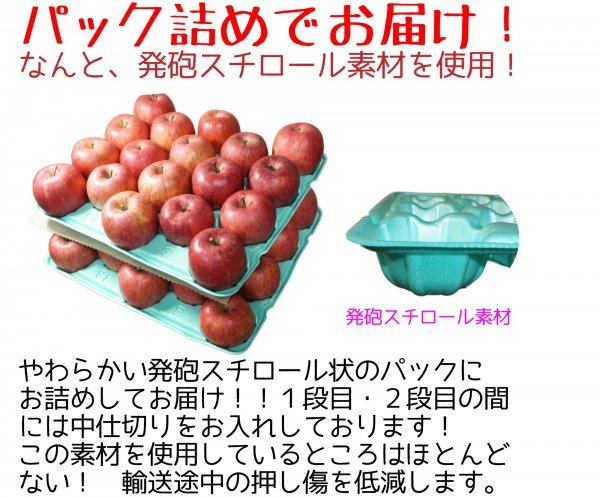 青森県産 りんご 訳あり ご家庭用 ふじ ５ｋｇ パック詰め 送料無料！の画像7