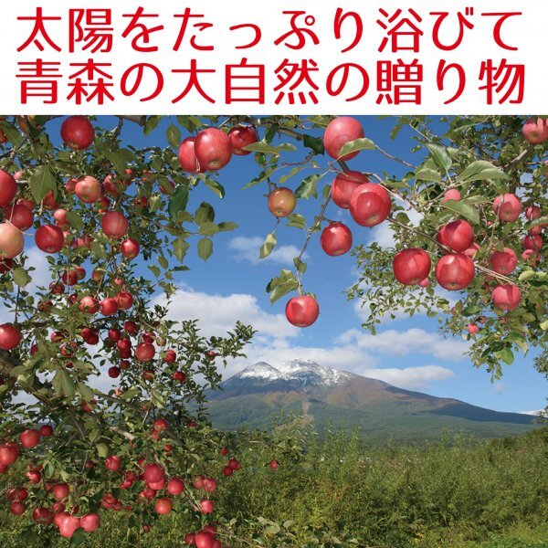 青森県産　りんご　訳あり　ご家庭用　ふじ　５ｋｇ　パック詰め　送料無料！_画像2