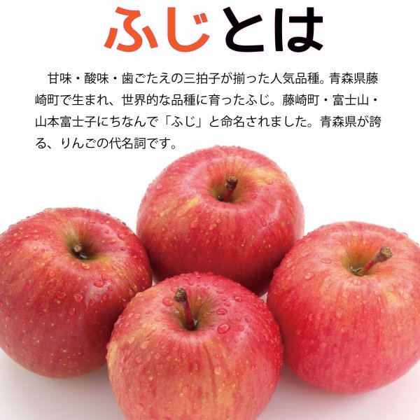 青森県産 りんご 訳あり ご家庭用 ふじ ５ｋｇ パック詰め 送料無料！の画像3