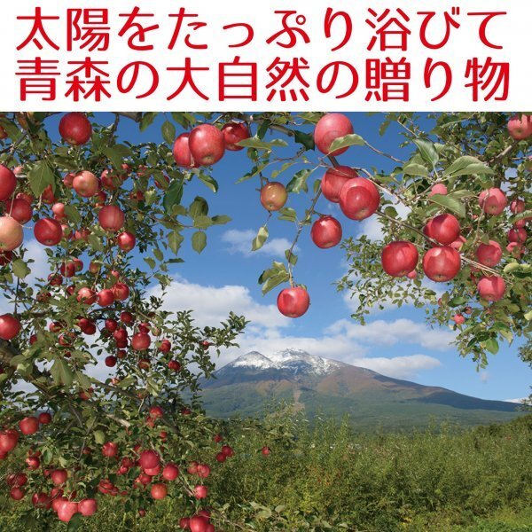 青森県産 家庭用 りんご ふじ 訳あり 10kg 送料無料！の画像7