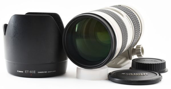 【極上美品】Canon キャノン ZOOM LENS EF 70-200mm F2.8 L ULTRASONIC 望遠ズームレンズ レンズフード付きの画像1