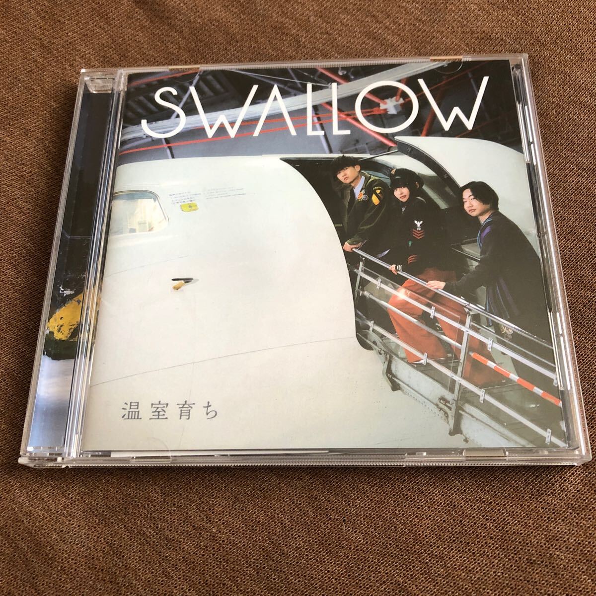 CD SWALLOW 温室育ち スワロー_画像1