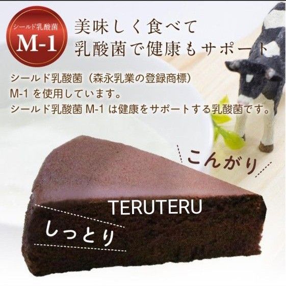 チョコけーき６号＆りんごぱうんどリンゴ パウンドケーキ 長野県産 林檎 アウトレット 工場直売 スイーツ☆愛いっぱい 大阪前田製菓