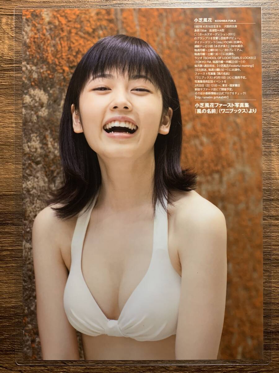 【厚手ラミネート加工】小芝風花 水着　雑誌切り抜き ５ページ サイズB5 週刊プレイボーイ２０１６年NO.11【グラビア】-E13_画像1