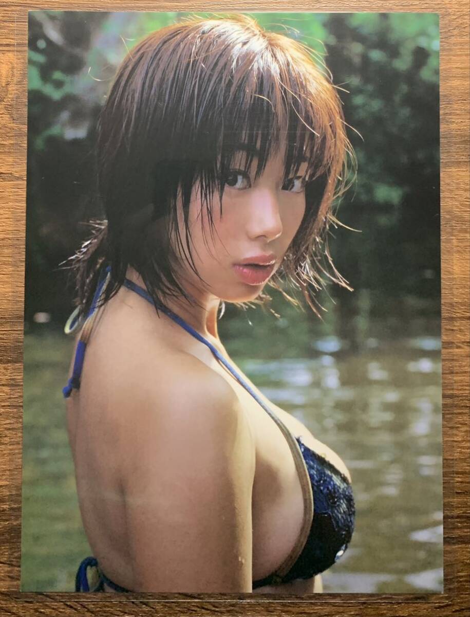 [ thick laminate processing ] Inoue Waka swimsuit A4 change size magazine scraps 9 page zavada 2004 06[ gravure ]-h6