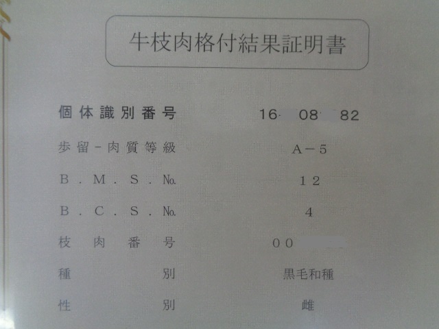 伊賀牛A５牝　超特ラン肉（不揃い）　１，５１ｋｇ　_画像9