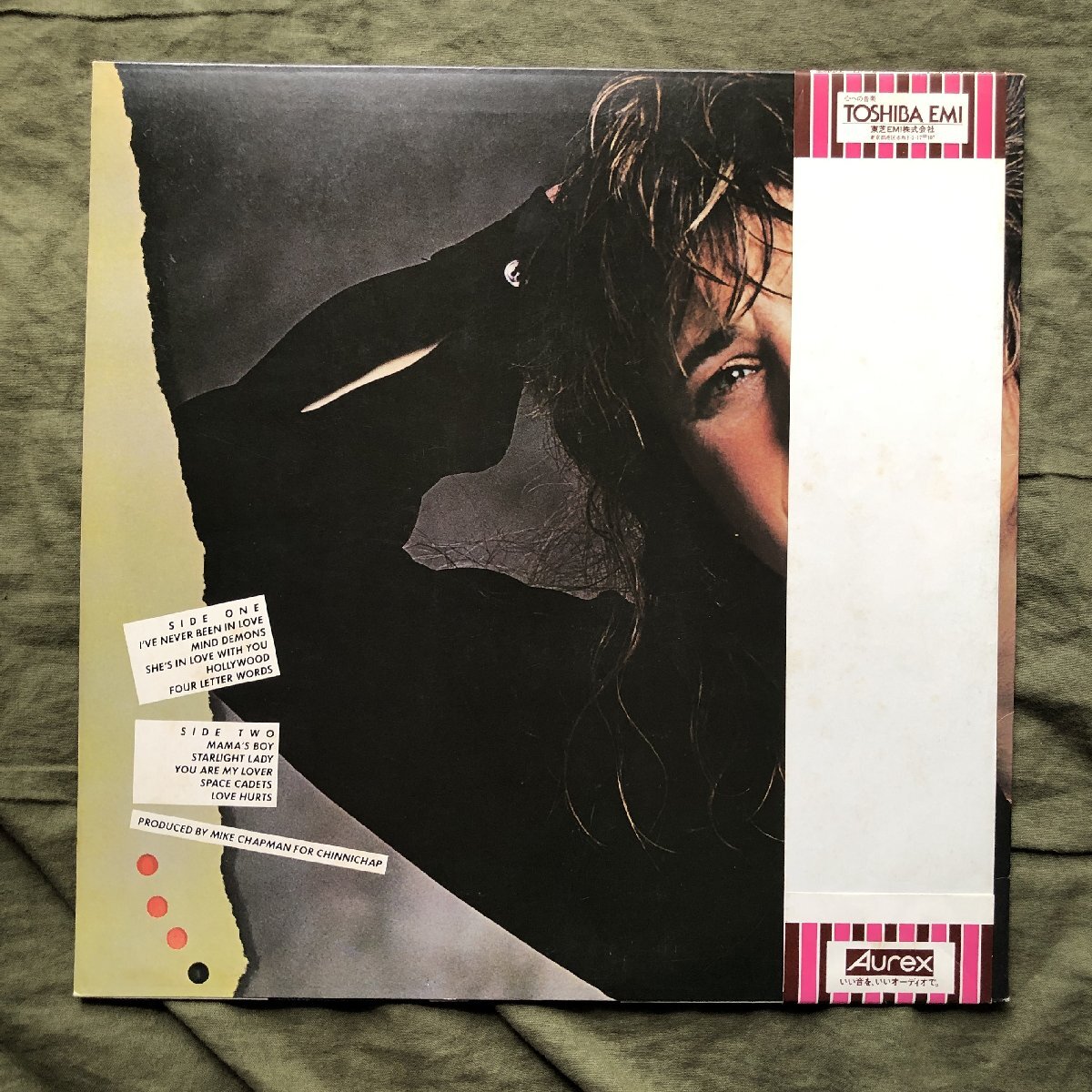 傷なし美盤 良ジャケ レア盤 1979年 国内初盤 Suzi Quatro スージー・クアトロ LPレコード フォー・レター・ワーズの秘密 帯付の画像2