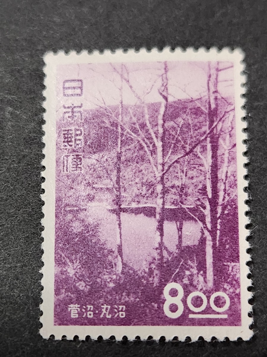 日本切手、 観光地百選 菅沼 丸沼8円未使用美品NH _画像1