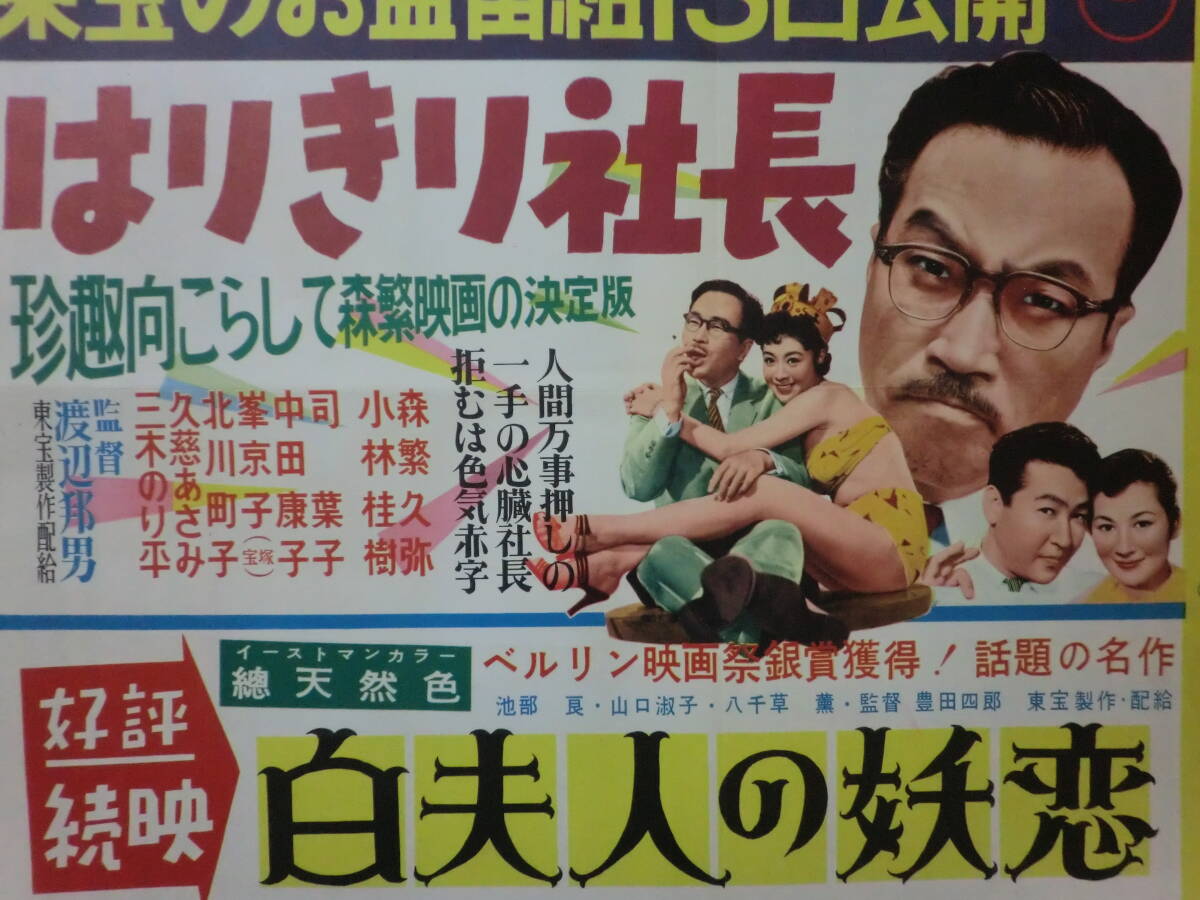 ⑲東宝「はりきり社長」B3判中吊りポスター/併映「白夫人の妖恋」有 森久彌小林桂樹司葉子中田康子渡辺邦男監督 昭和31年の画像5