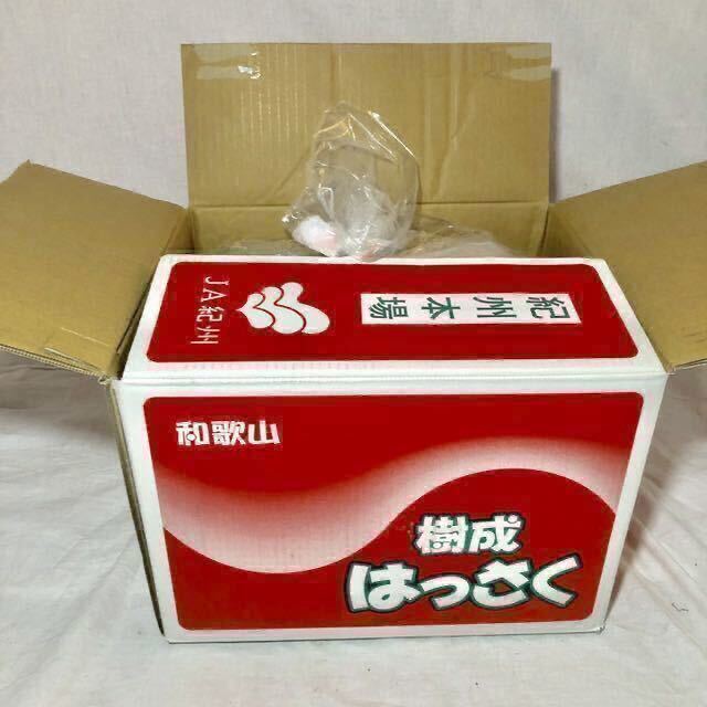 【天日干し米・はざかけ米】《★玄米20Kg》 新米 令和5年産 『国内送料無料 !』長野県産 自然乾燥 お米 おこめ コシヒカリ はぜかけ米 信州の画像9