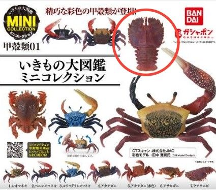 いきもの大図鑑 ミニコレクション 甲殻類01 ウチワエビ ガチャ