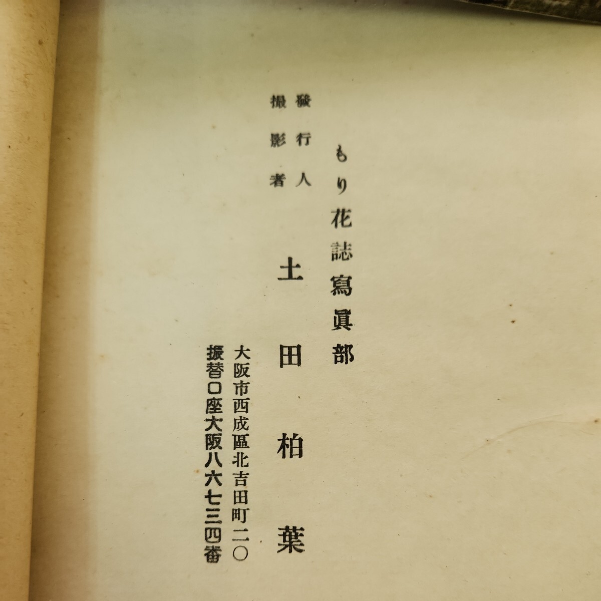 B51-089 小原流三世家元 小原豊曇先生作 万葉に寄する挿花 秋の巻 表紙劣化あり。_画像2