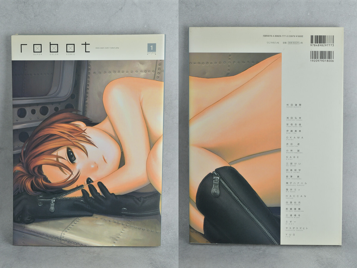 イラスト関連書籍5冊セット robot(vol.1 2)　色彩王国(vol.1)　季刊S(vol.8 42) 村田蓮爾 山田章博 岸田メル Tony 石恵 鳴子ハナハル 他_画像3