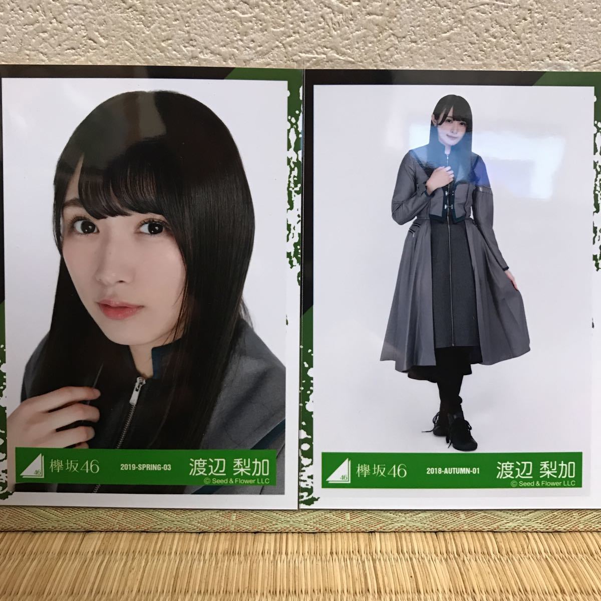 欅坂46 2nd YEAR ANNIVERSARY LIVE衣装 生写真 渡辺梨加 ヨリ、ヒキ_画像1