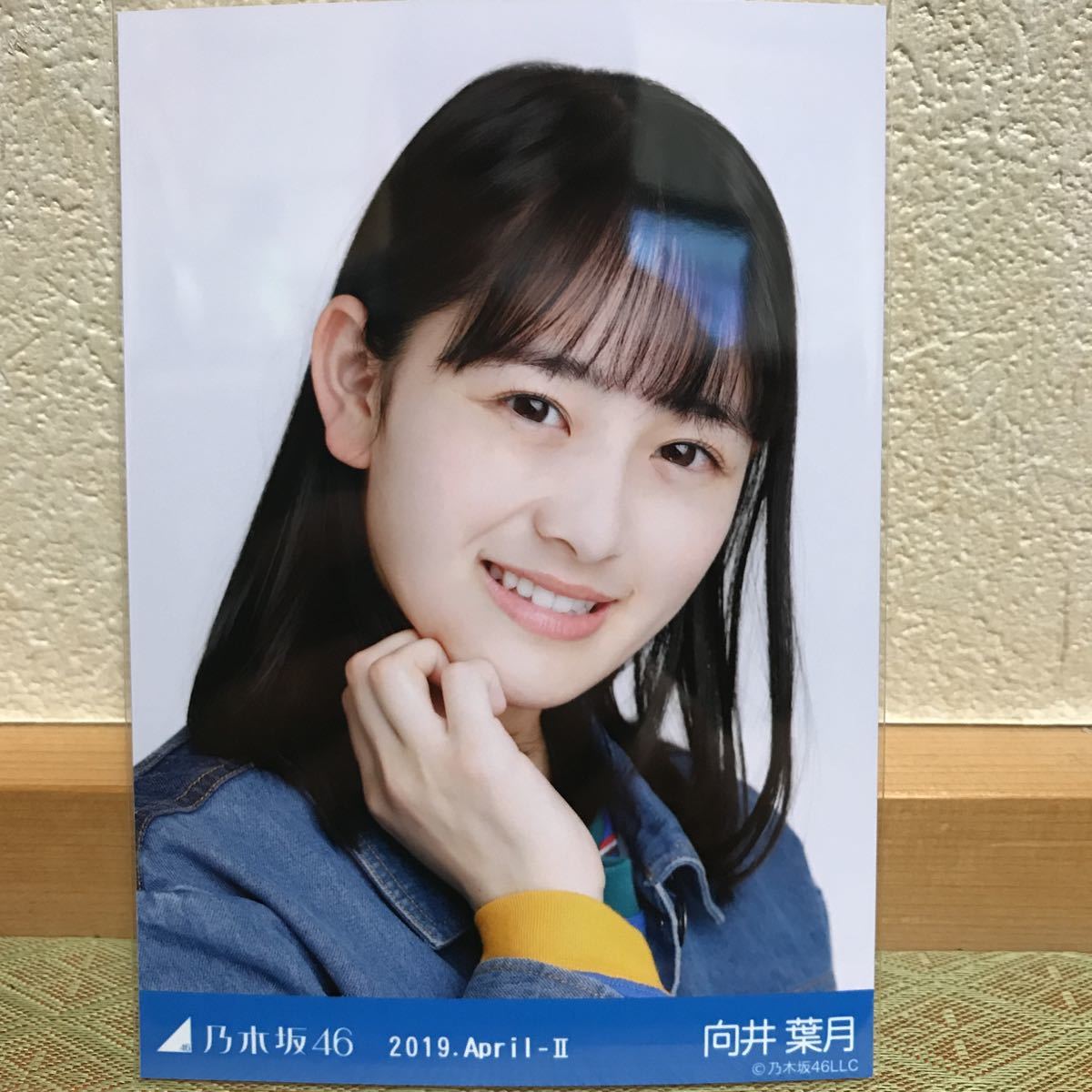 乃木坂46 2019.April-Ⅱ デニムジャケット 生写真 向井葉月 ヨリ_画像1