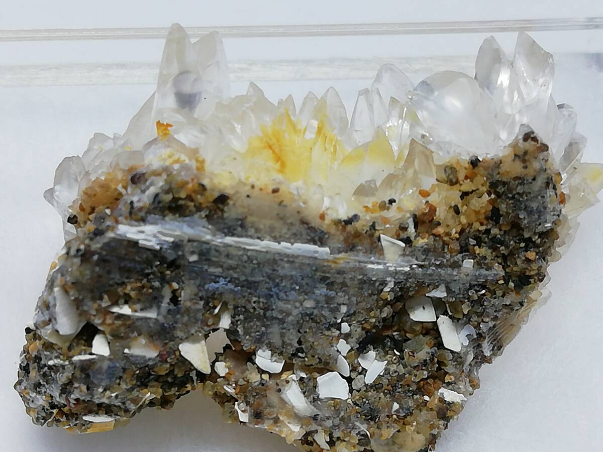 国産鉱物 犬牙状方解石 （貝化石中） 千葉県印旛郡印西町平岡の画像3