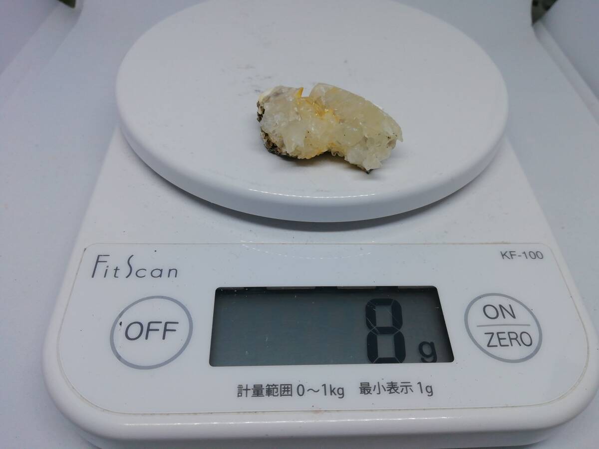 国産鉱物 犬牙状方解石 （貝化石中） 千葉県印旛郡印西町平岡の画像7