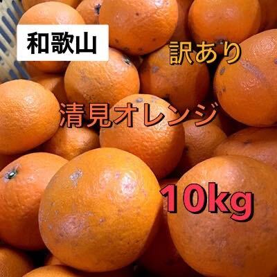 甘さ抜群 和歌山 清見オレンジ 10kg 送料無料 訳ありの画像1