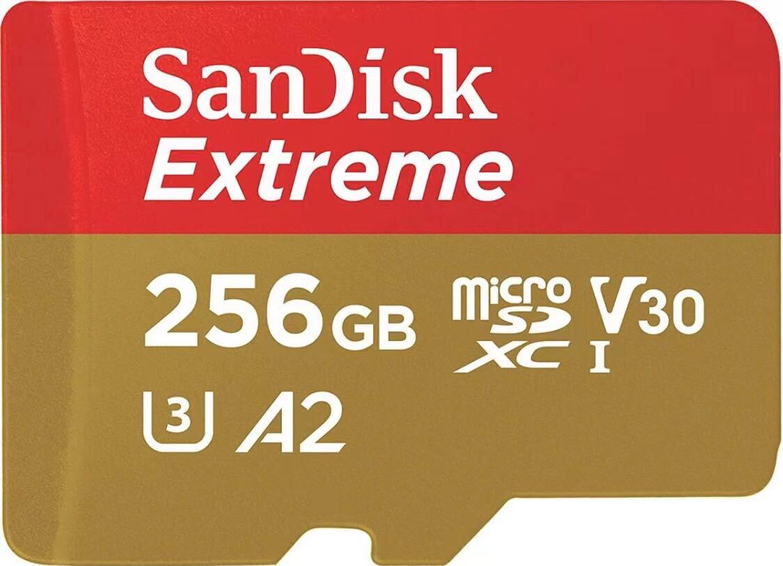 256GB　マイクロSD カード　micro SD card　_画像1