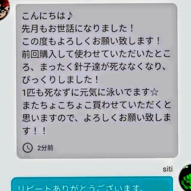 ★韓国から隔週輸入の粉末や原液とは効果が全く違います★SuperExcelent詰替え用生クロレラ原液