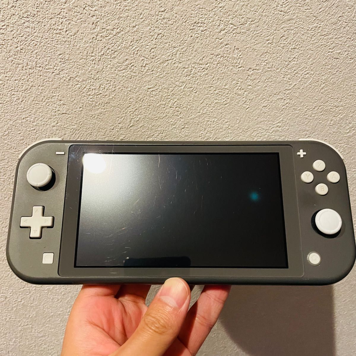 Switch Lite グレー