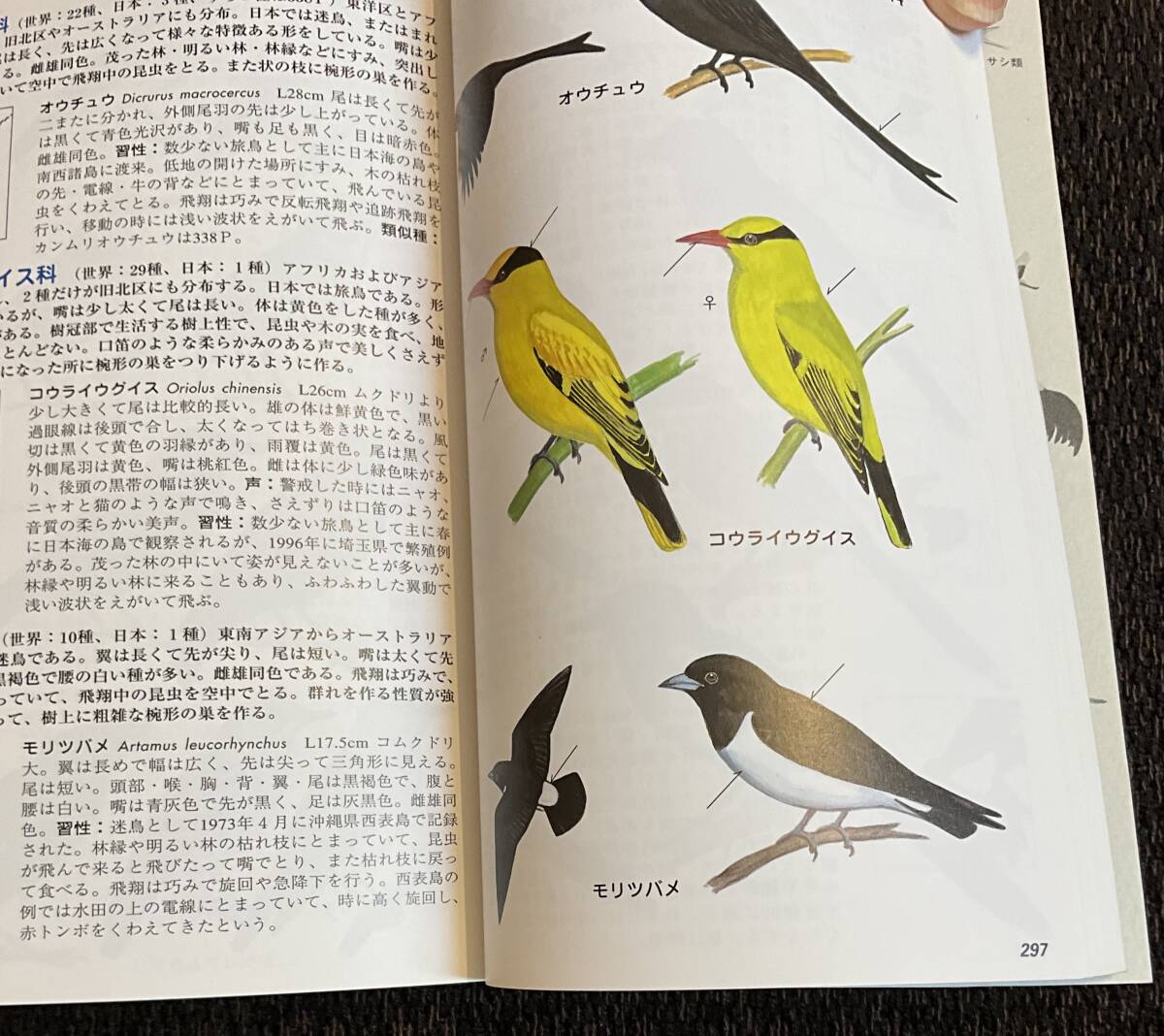 [ поле гид японский дикая птица больше . модифицировано . версия ] Kouya . 2, Япония дикая птица. .