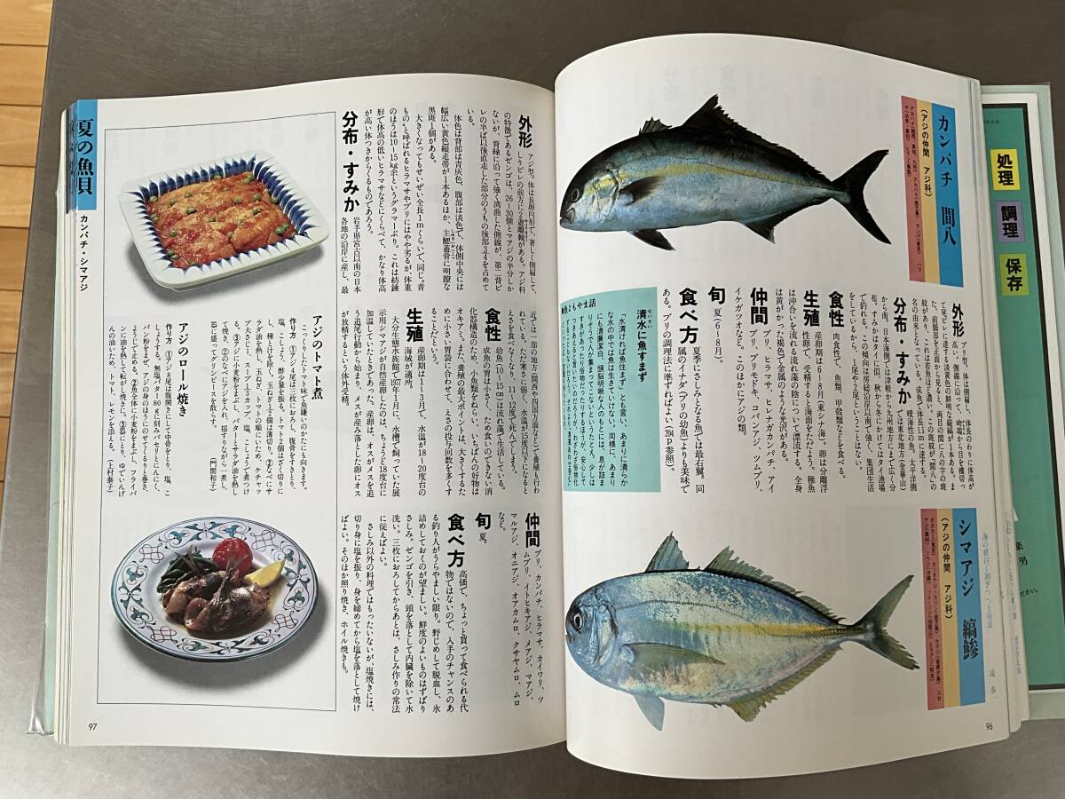 [ рыба .. цвет различные предметы ... много сырой .* еда . person * интересный рассказ читать иллюстрированная книга ]... . различные предметы серии 