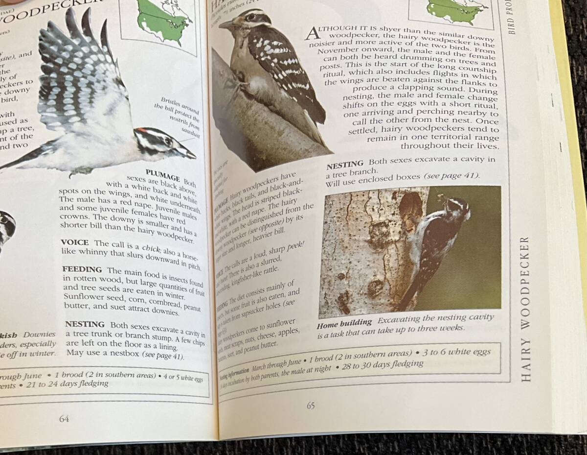 ~CONCISE~BIRDFEEDER HANDBOOK A guide to attracting and observing birds, ROBERT BURTON_画像2