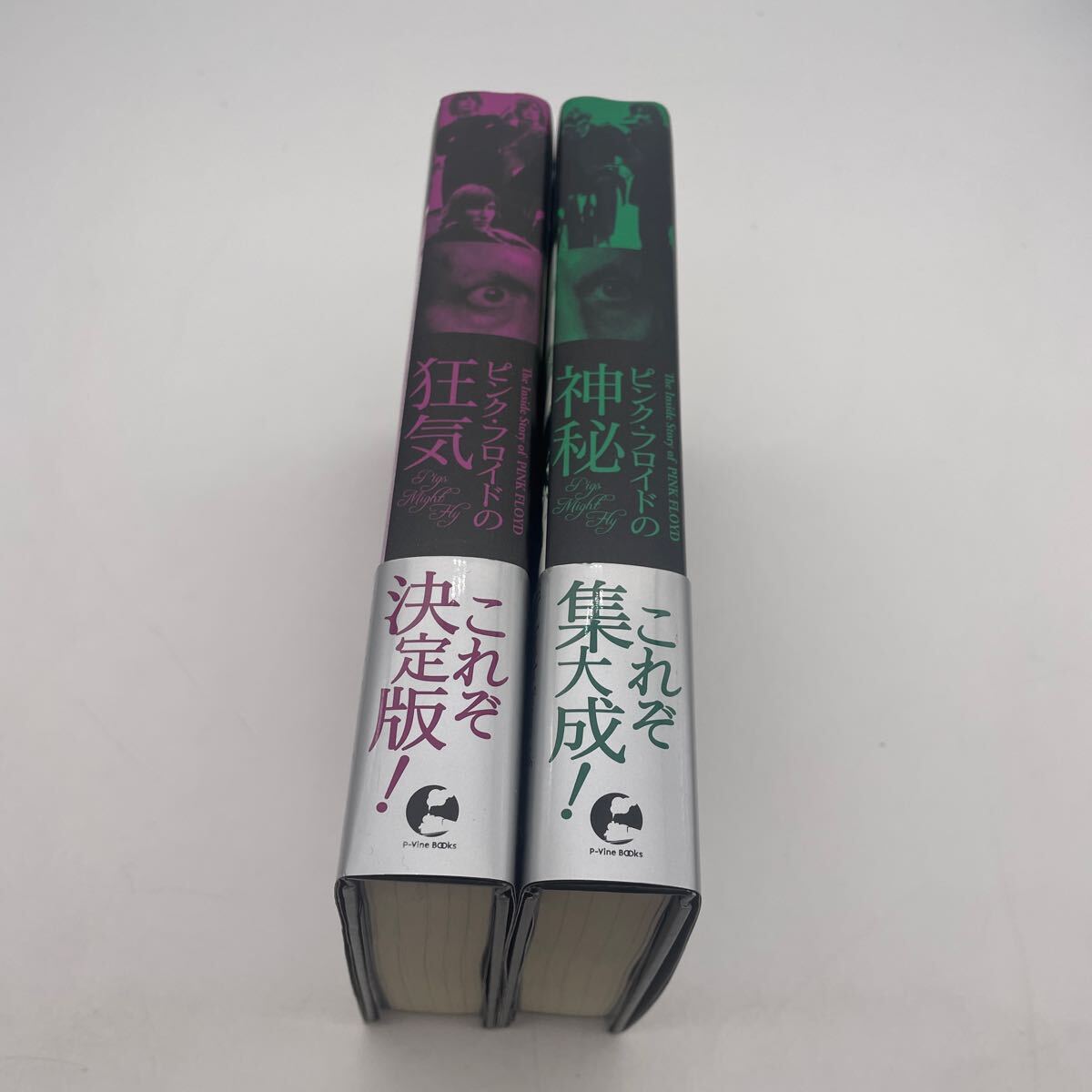 ピンク・フロイドの狂気/神秘/2冊セット/Pink Floyd/全史/ドキュメンタリーの画像2