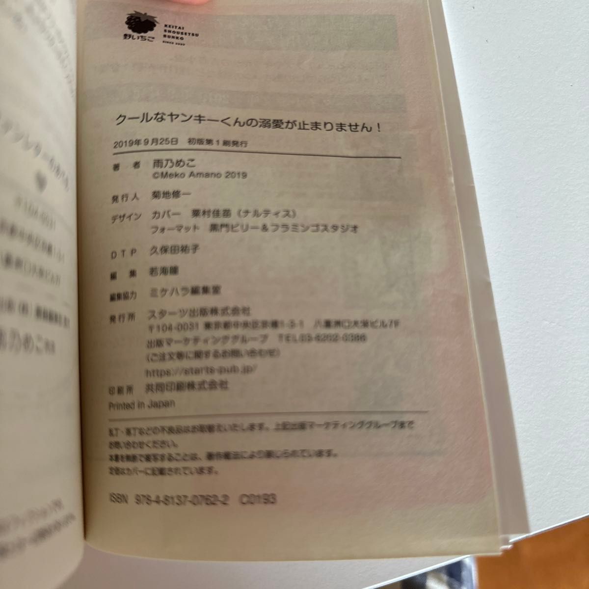 クールなヤンキーくんの溺愛が止まりません！ （ケータイ小説文庫　あ２１－３　野いちご） 雨乃めこ／著