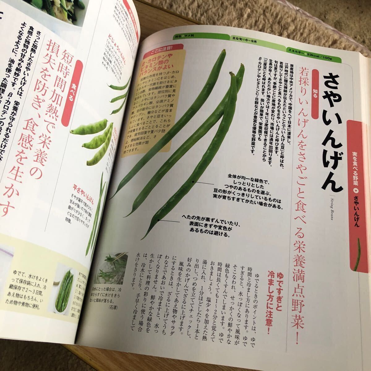 野菜まるごと大図鑑　主婦の友社　2011年初刷　レターパックライト発送_画像9