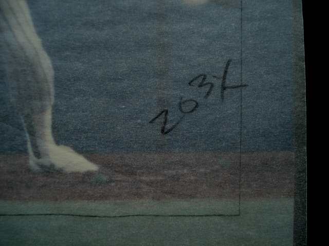 カルビー 原版写真 内部資料 トリミング指定あり 1次資料 1989年 12番中野佐資 阪神タイガース カード付属の画像4