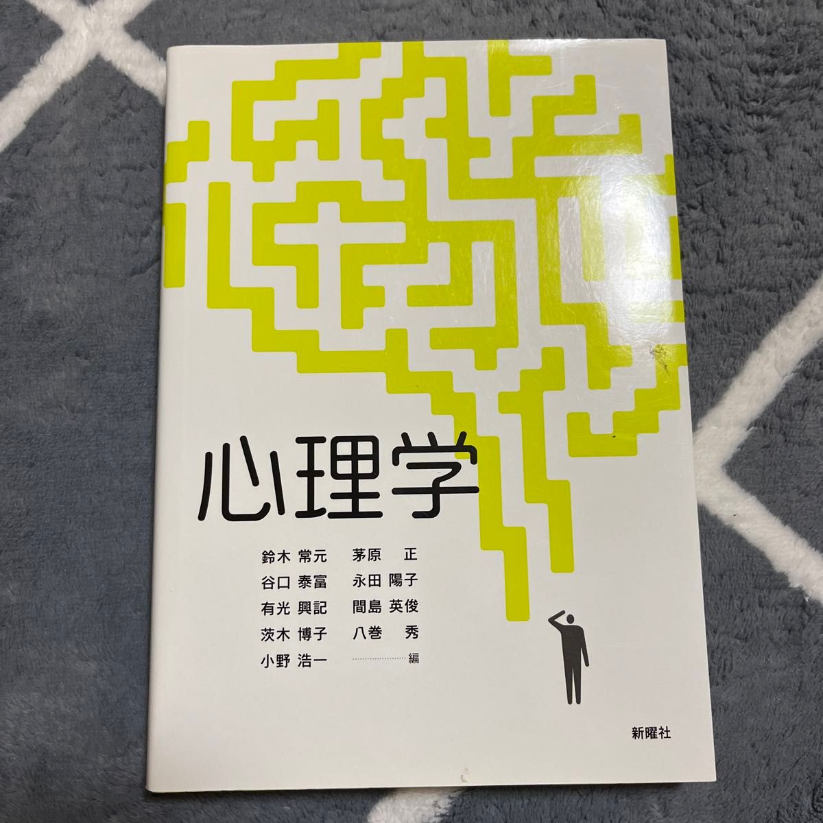 心理学 鈴木常元／編　谷口泰富／編　有光興記／編　茨木博子／編　小野浩一／編　茅原正／編　永田陽子／編　間島英俊／編　八巻秀／編