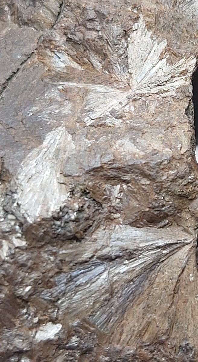 灰鉄輝石 カッコいいブロンズ色標本 福井県中竜鉱山 産 国産鉱物 鉱物 標本の画像5