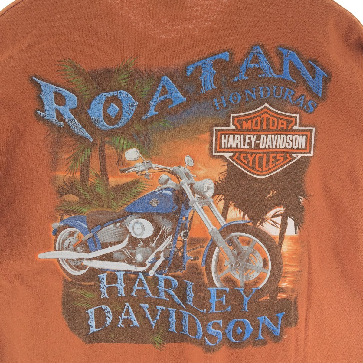 古着 ハーレーダビッドソン Harley-Davidson モーターサイクル バイクTシャツ メンズXL /eaa390122_画像6